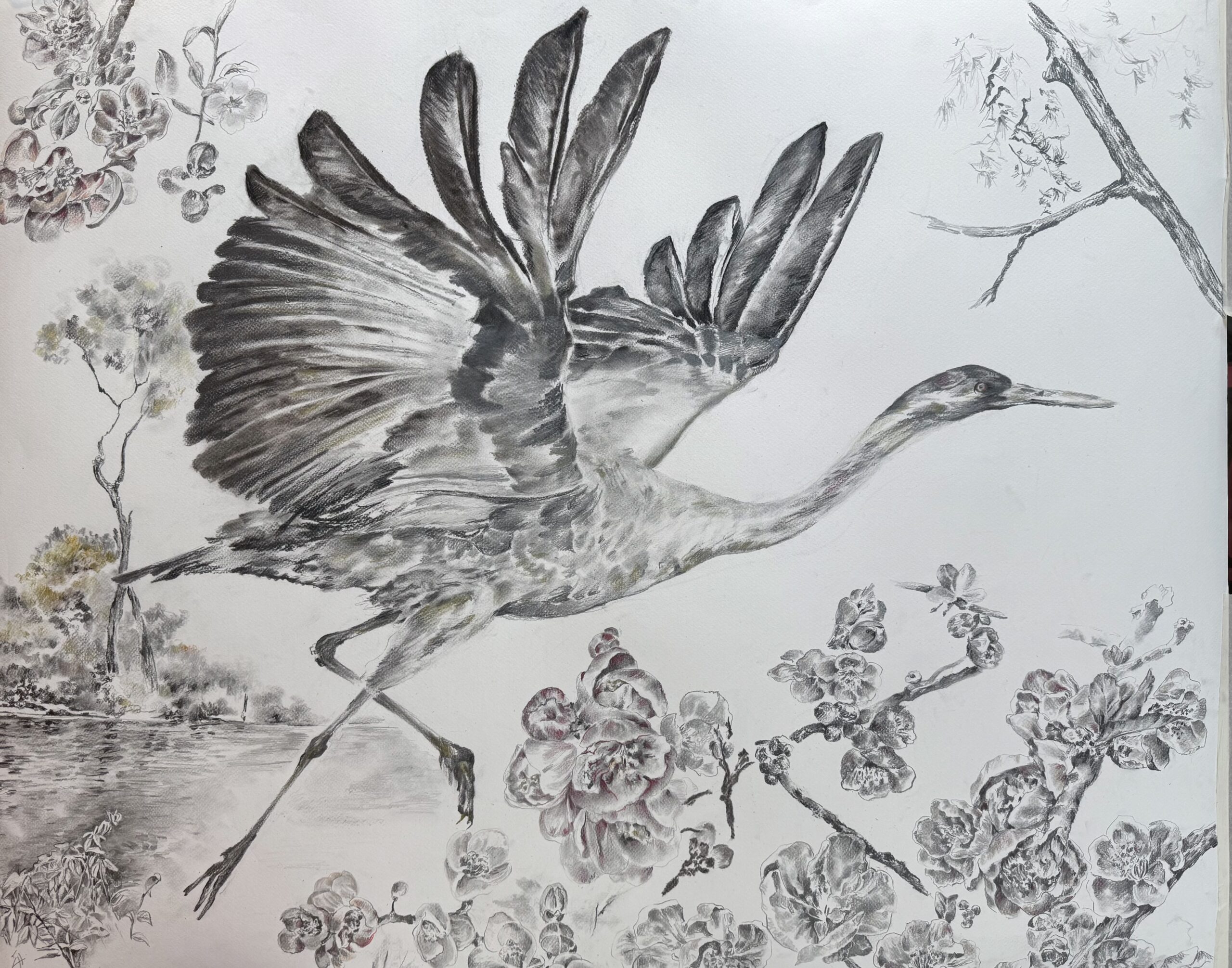 Image de l'oeuvre 40 – Décollage