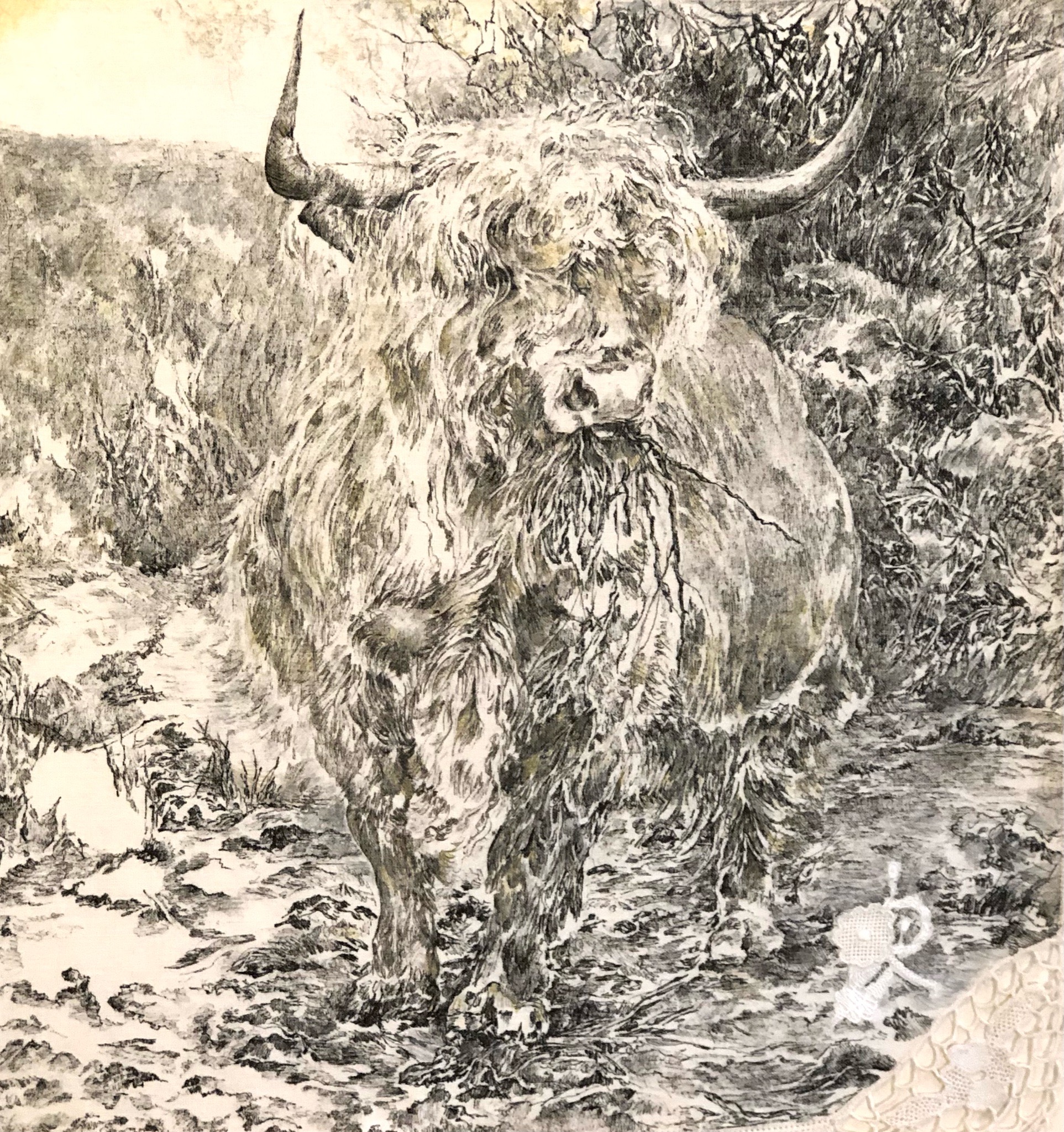 Image de l'oeuvre 33 – Le Scottish cow