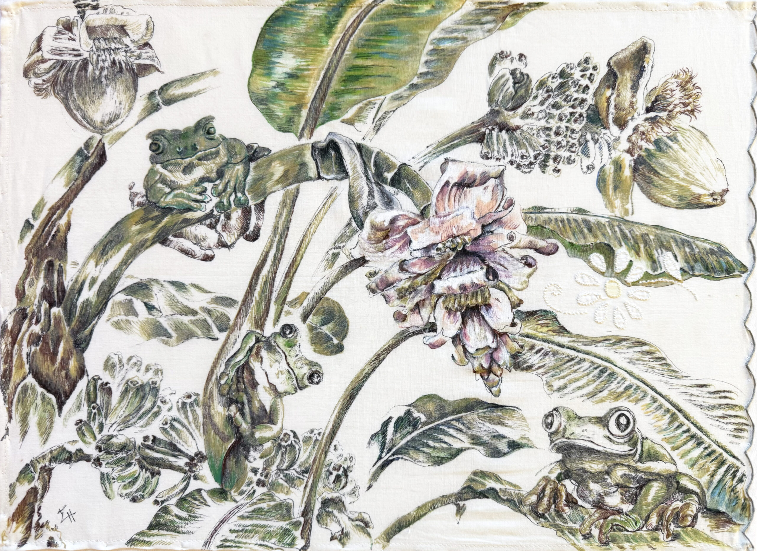 Image de l'oeuvre 44 – Petites grenouilles