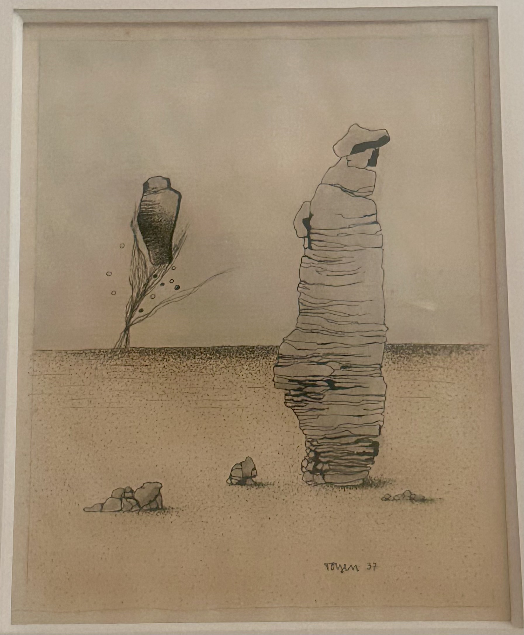 Image de l'oeuvre Les spectres du désert